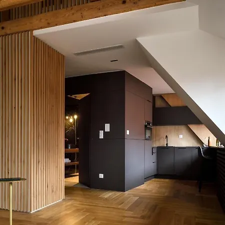 Rive Petite Venise Luxe - Centre - Clim, Ascenseur & Possibilite Parking Lejlighed Colmar