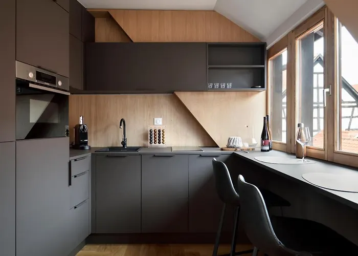 Rive Petite Venise Luxe - Centre - Clim, Ascenseur & Possibilite Parking * Colmar