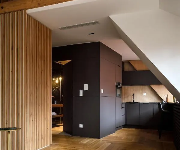 Rive Petite Venise Luxe - Centre - Clim, Ascenseur & Possibilite Parking Apartament Colmar